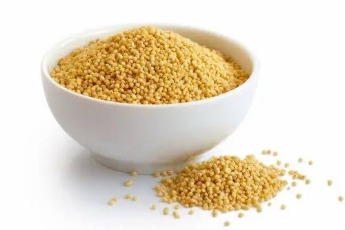 Foxtail